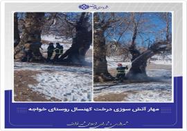  مهار آتش سوزی درخت کهنسال روستای خواجه