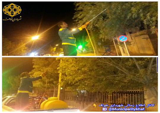 عملیات سم پاشی درختان خیابان شهاب
